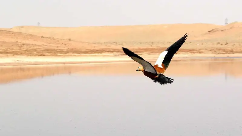 تالاب بهشت معصومه